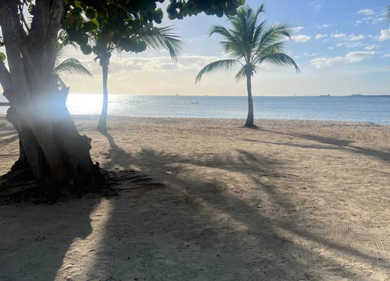 Apartment In Playa Nueva Romana سان بيدرو دي ماكوريس